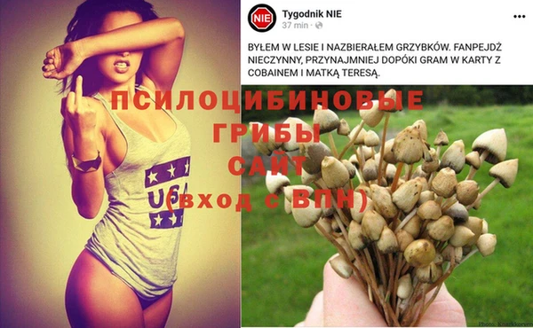 гашишное масло Киреевск